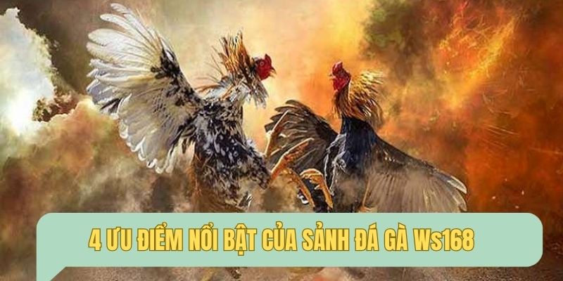 4 điểm mạnh của sảnh cược thu hút nhiều người chơi