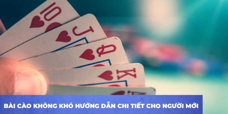 Bài cào không khó hướng dẫn chi tiết cho người mới