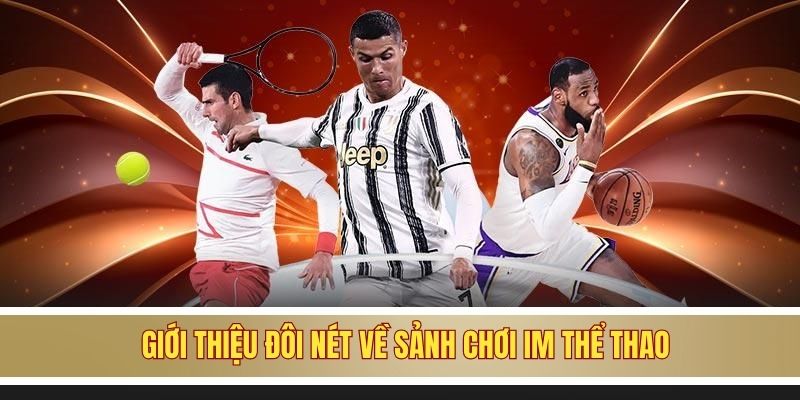 Giới thiệu đôi nét về sảnh chơi IM thể thao