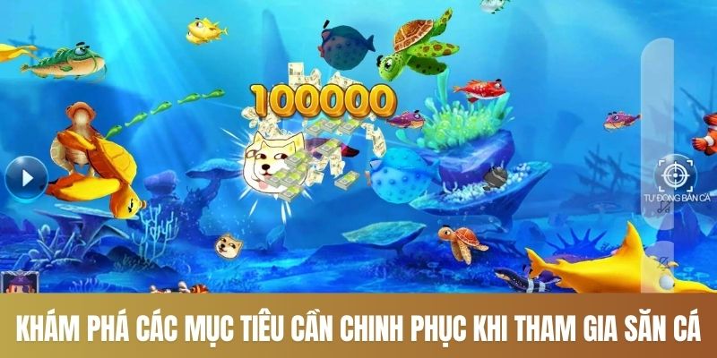 Khám phá các mục tiêu cần chinh phục khi tham gia săn cá
