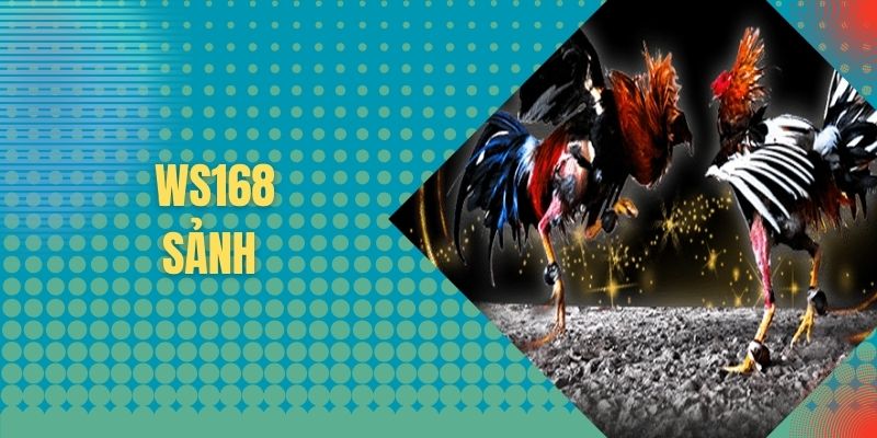 Ws168 - Xem Chọi Gà Khốc Liệt Với Nhiều Đường Link Trực Tiếp